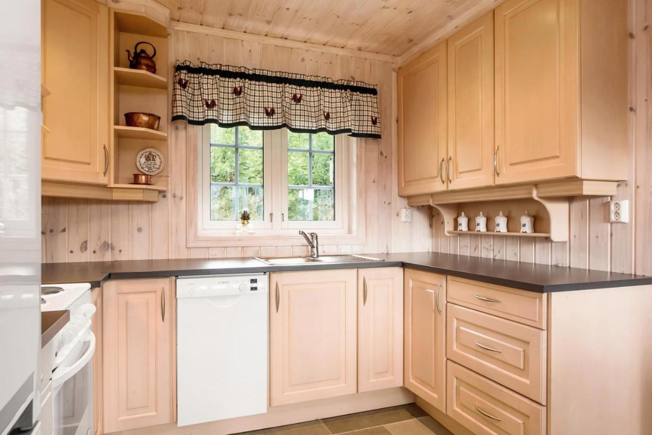 Reveenka - Cabin In Trysil With Jacuzzi For Rent ภายนอก รูปภาพ
