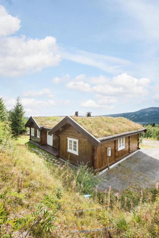 Reveenka - Cabin In Trysil With Jacuzzi For Rent ภายนอก รูปภาพ
