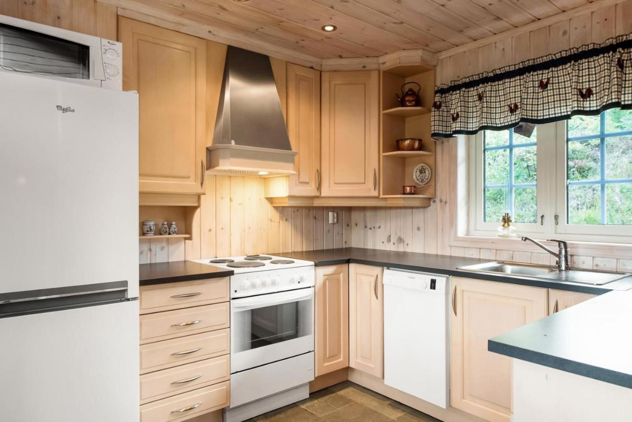 Reveenka - Cabin In Trysil With Jacuzzi For Rent ภายนอก รูปภาพ