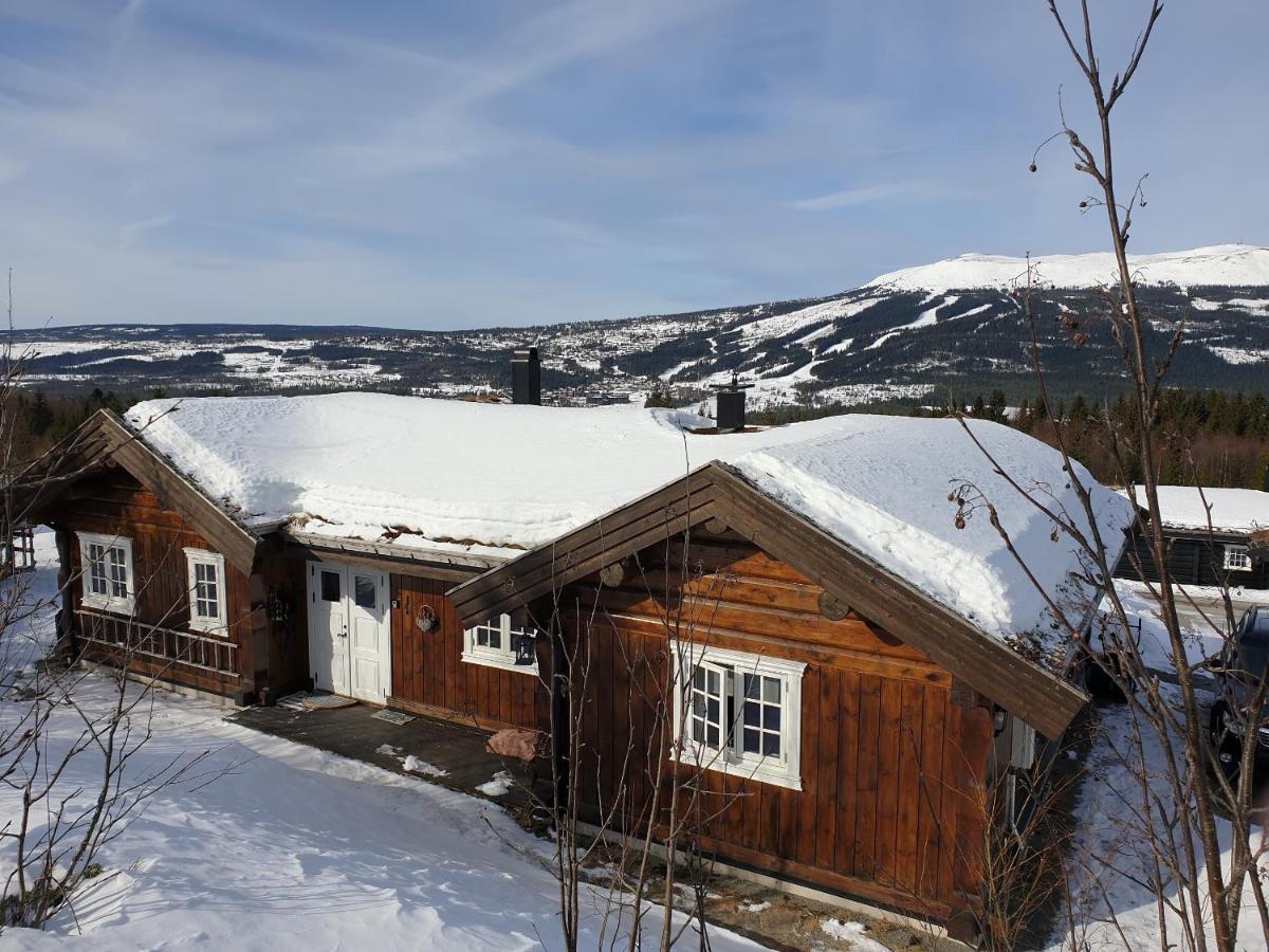 Reveenka - Cabin In Trysil With Jacuzzi For Rent ภายนอก รูปภาพ