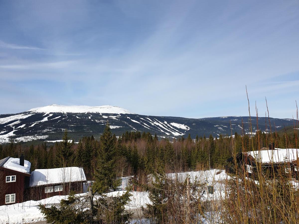 Reveenka - Cabin In Trysil With Jacuzzi For Rent ภายนอก รูปภาพ