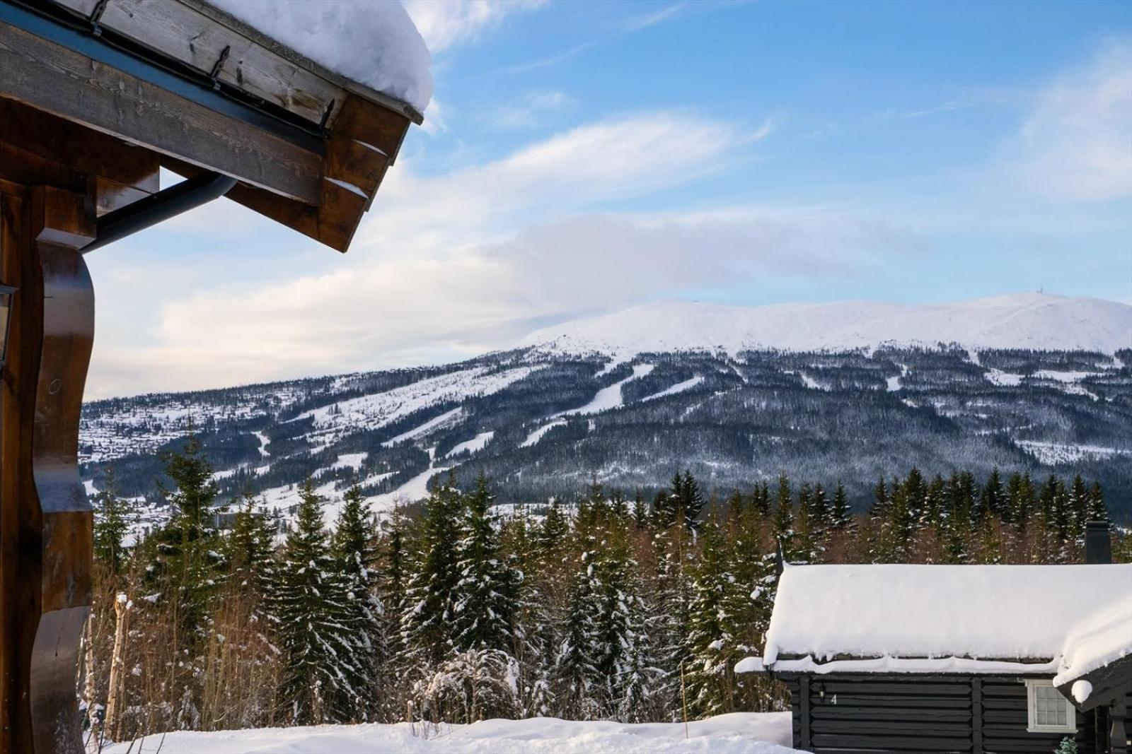 Reveenka - Cabin In Trysil With Jacuzzi For Rent ภายนอก รูปภาพ
