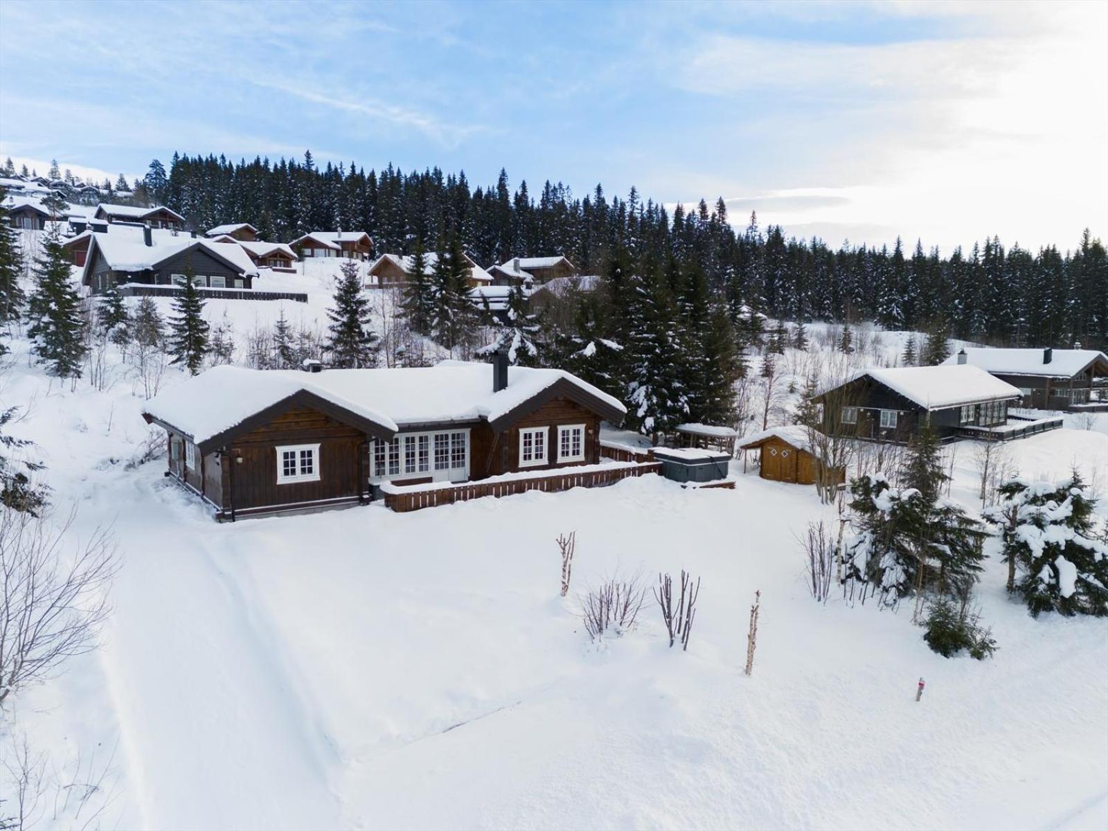 Reveenka - Cabin In Trysil With Jacuzzi For Rent ภายนอก รูปภาพ